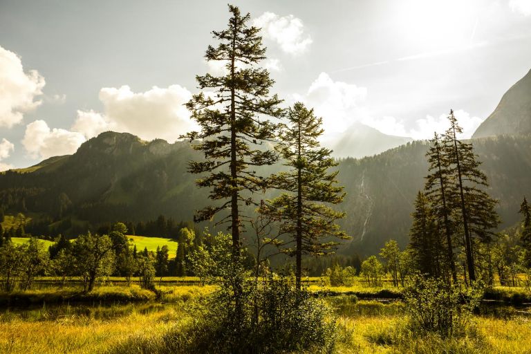 Tschanz Architektur: Verwurzelt im Saananland.